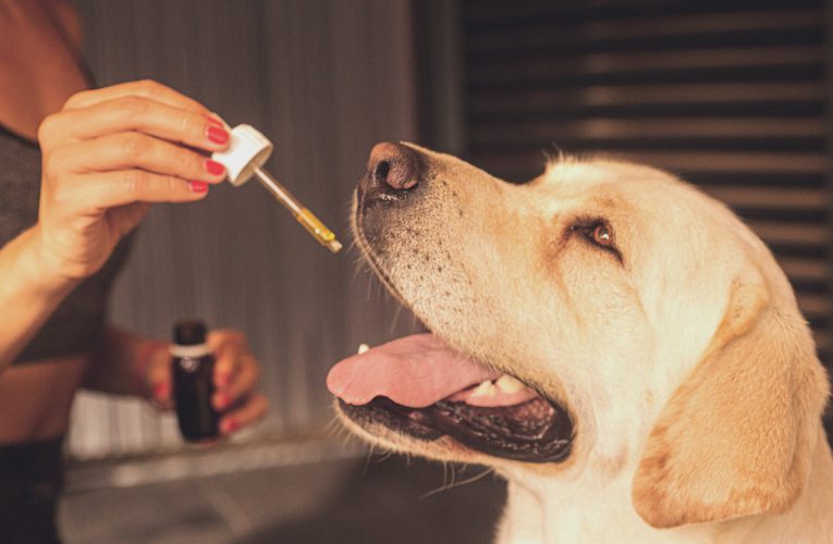 CBD odpowiedzią na nasze lęki i stresy